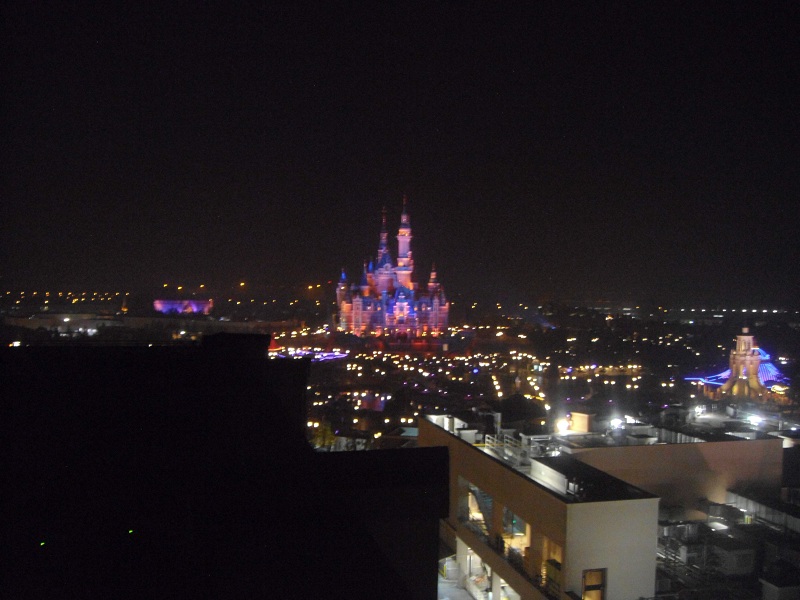 上海迪士尼--3M™ DBI-SALA® Lad-Saf™ 系统